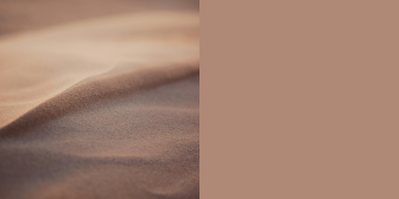 Dunes de sable aux tons beiges et doux, capturant la chaleur et la délicatesse des paysages désertiques.